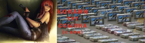 ECSTASY Бронницы