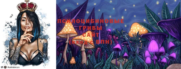 2c-b Верея