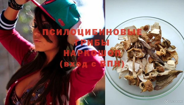 COCAINE Бородино