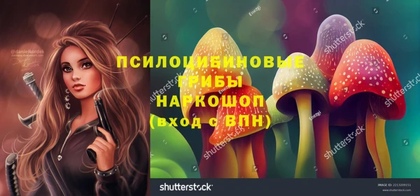 COCAINE Бородино