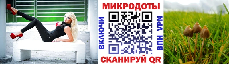 Псилоцибиновые грибы GOLDEN TEACHER  Ершов 