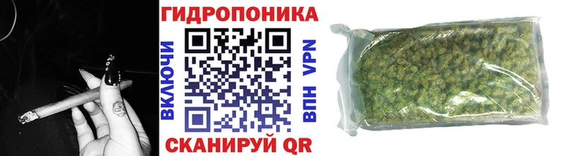 Конопля VHQ  мега онион  Ершов 